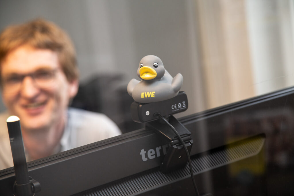 EWE Shop. Ente